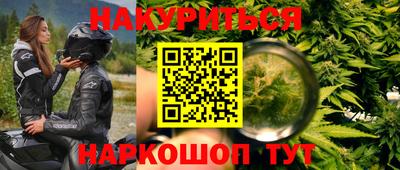 индика Владикавказ