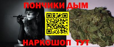 индика Владикавказ
