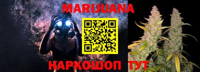 индика Владикавказ