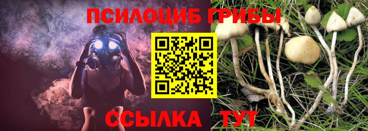 Галлюциногенные грибы прущие грибы  Вход с VPN  Волжский 